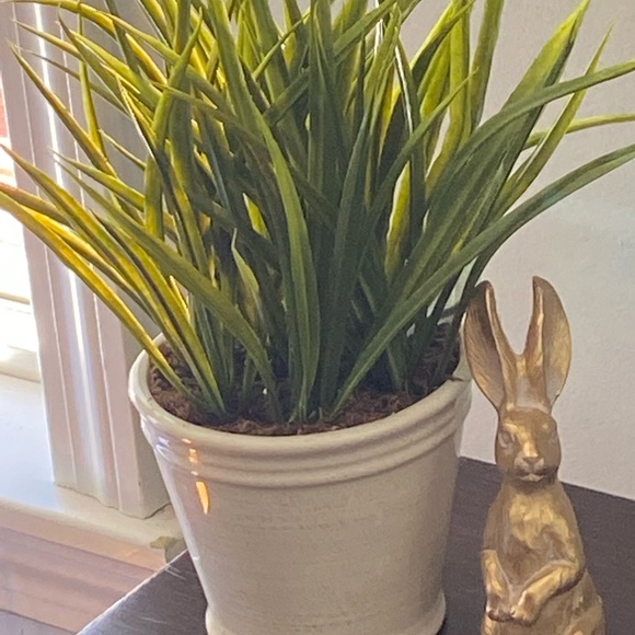 Meet your Posher, Tracey - Picture 1 of 1